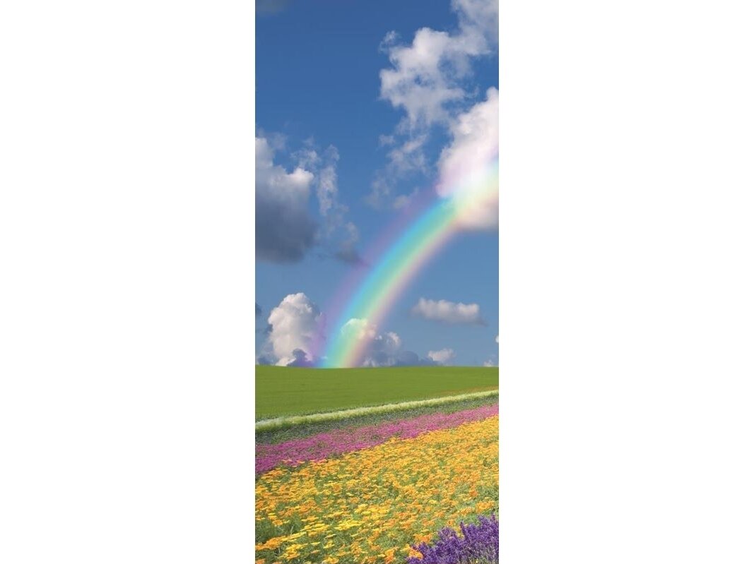 FOR WALL fototapetai 0018VET