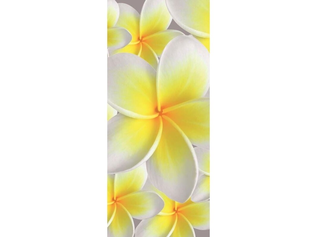 FOR WALL fototapetai 0033VET