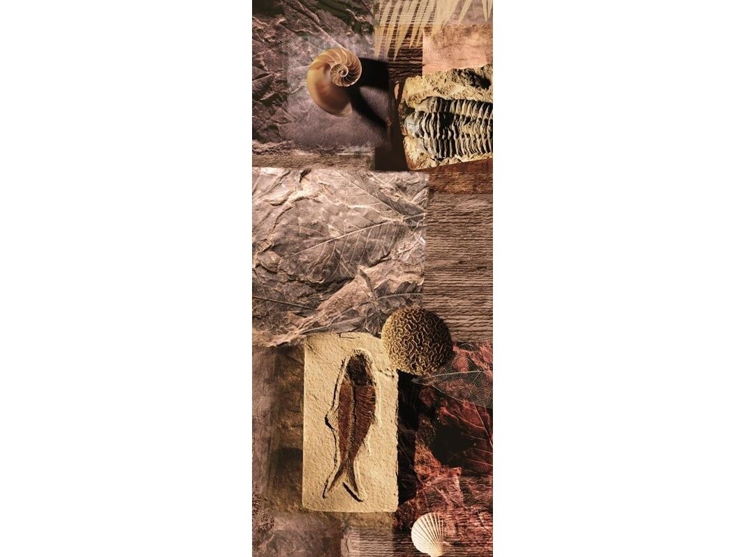 FOR WALL fototapetai 0053VET