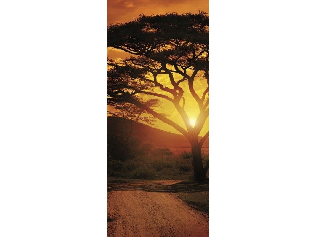 FOR WALL fototapetai 0055VET