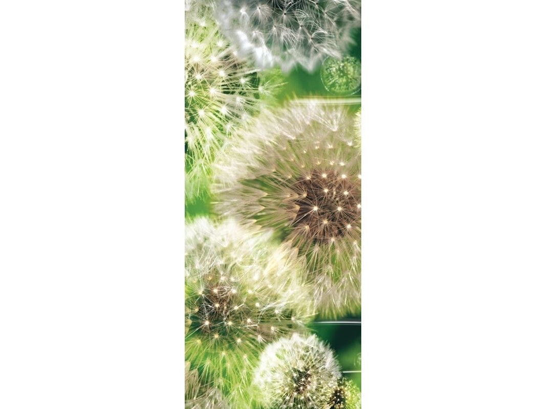 FOR WALL fototapetai 0056VET