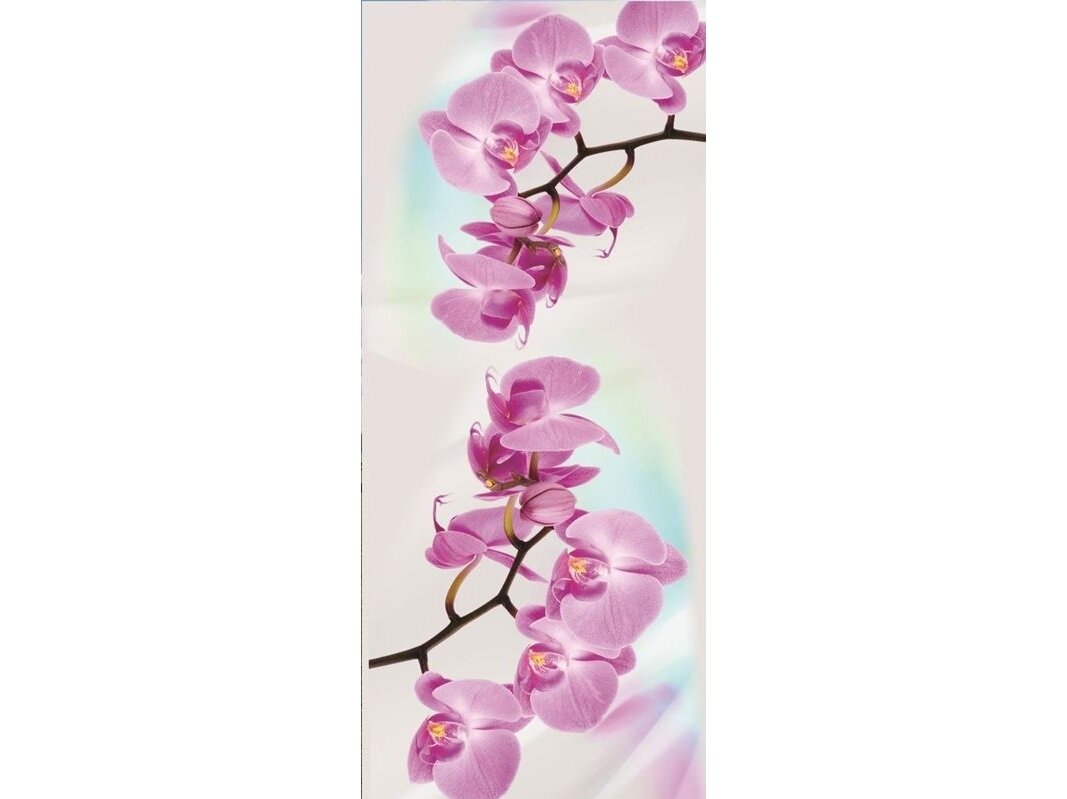 FOR WALL fototapetai 0116VET