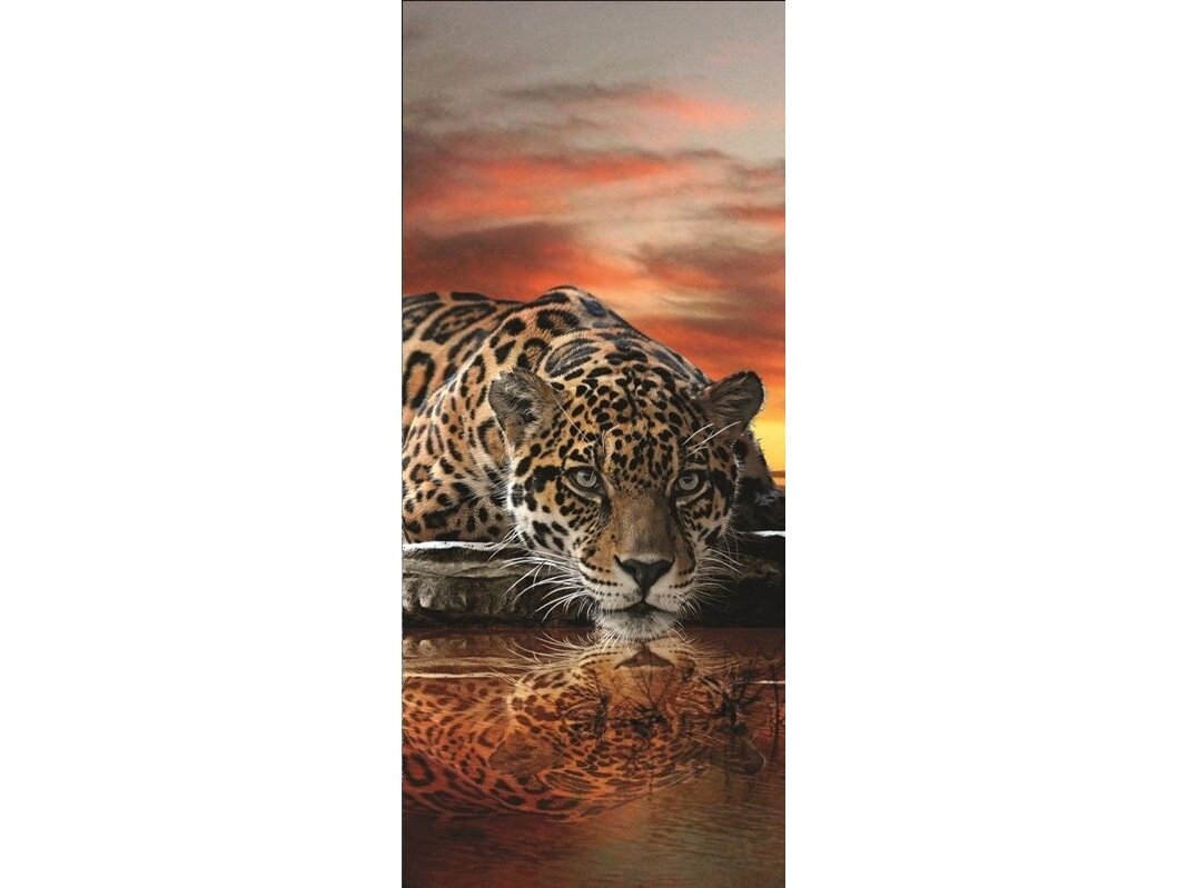 FOR WALL fototapetai 0126VET