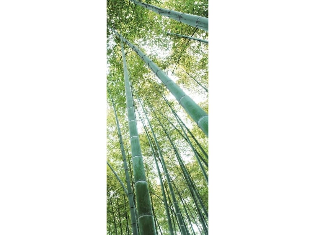 FOR WALL fototapetai 0150VET