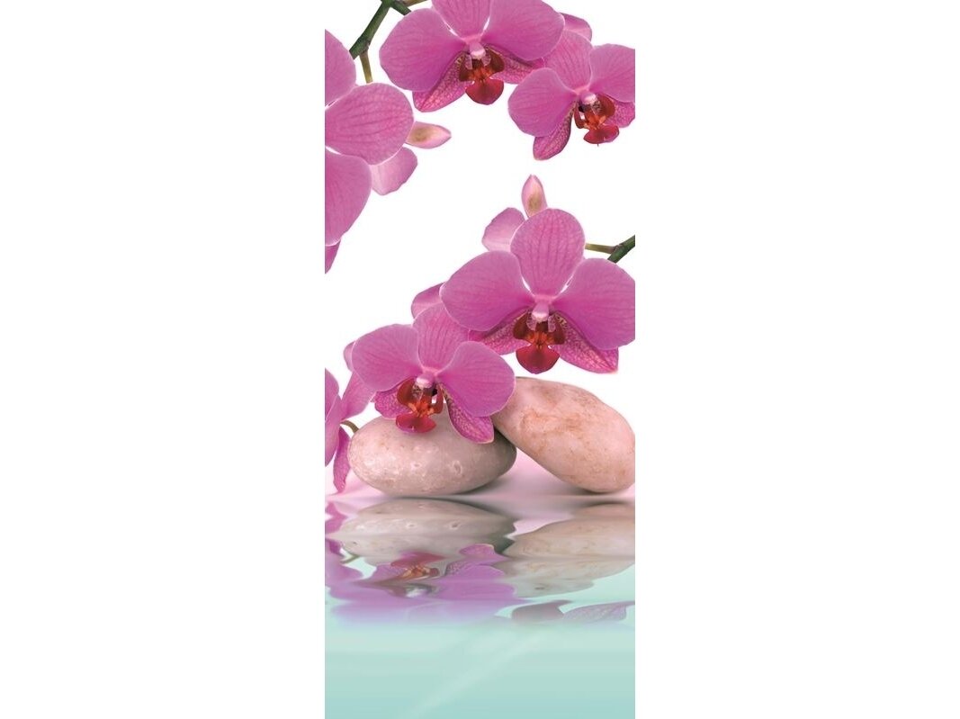 FOR WALL fototapetai 0151VET