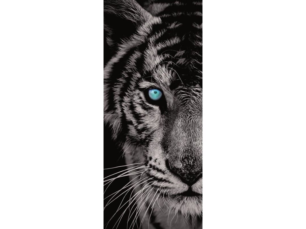 FOR WALL fototapetai 0153VET