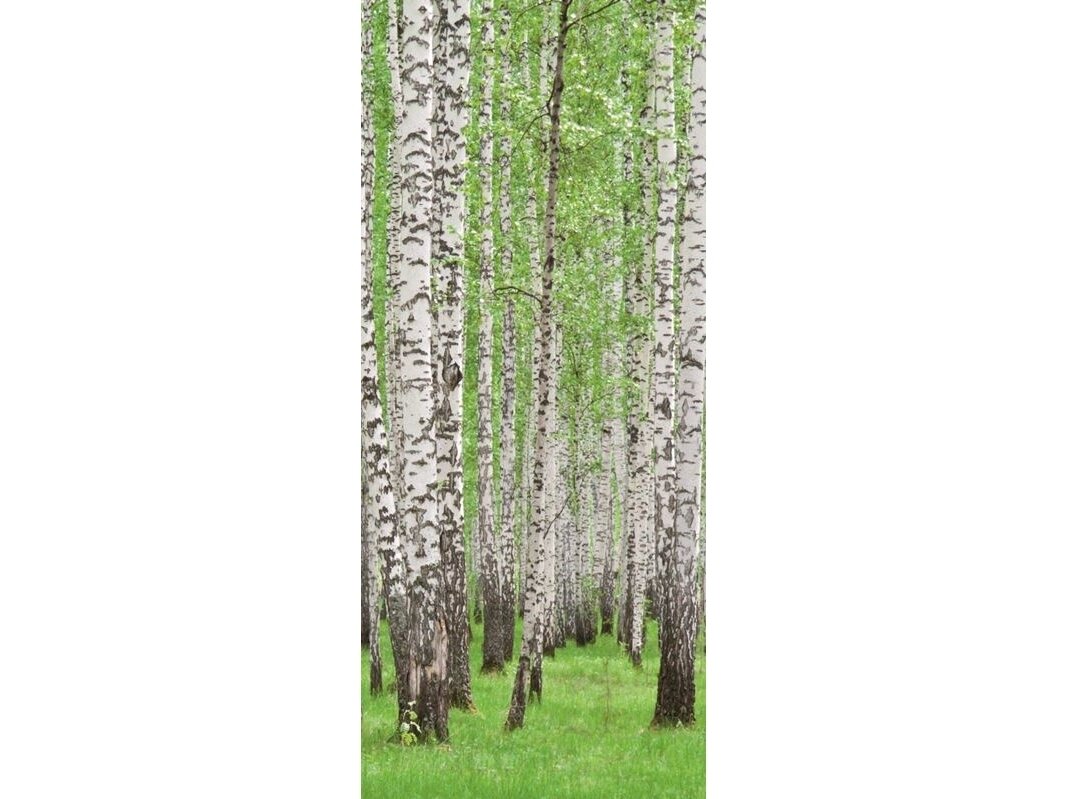 FOR WALL fototapetai 0157VET