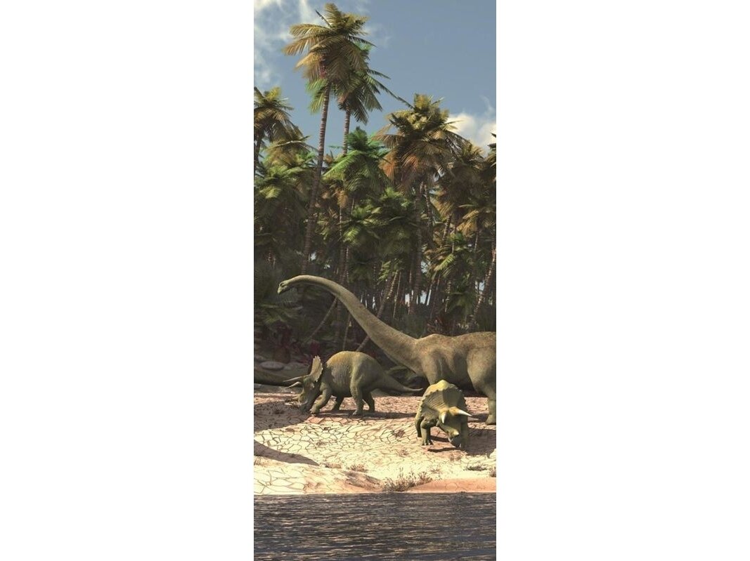 FOR WALL fototapetai 0165VET