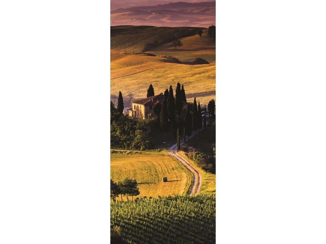 FOR WALL fototapetai 0169VET