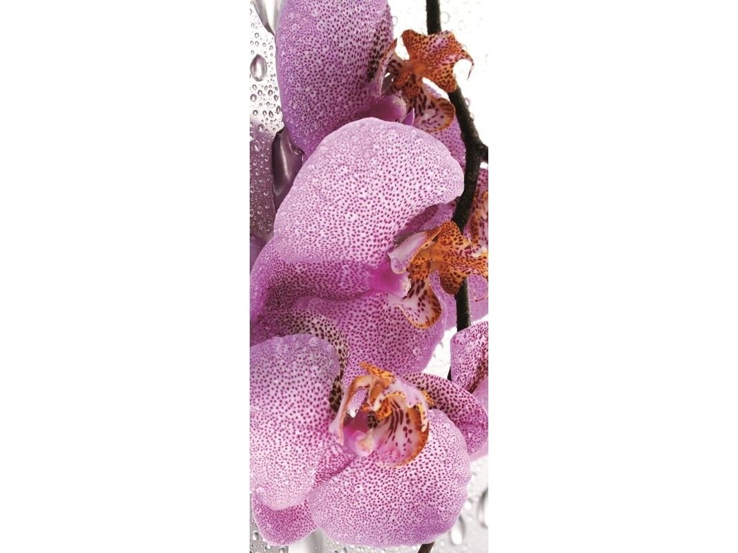 FOR WALL fototapetai 0184VET FOR WALL fototapetai 0184VET