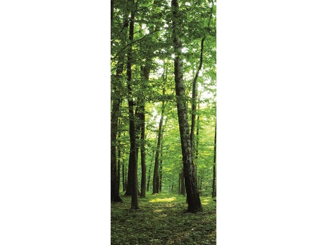 FOR WALL fototapetai 0186VET