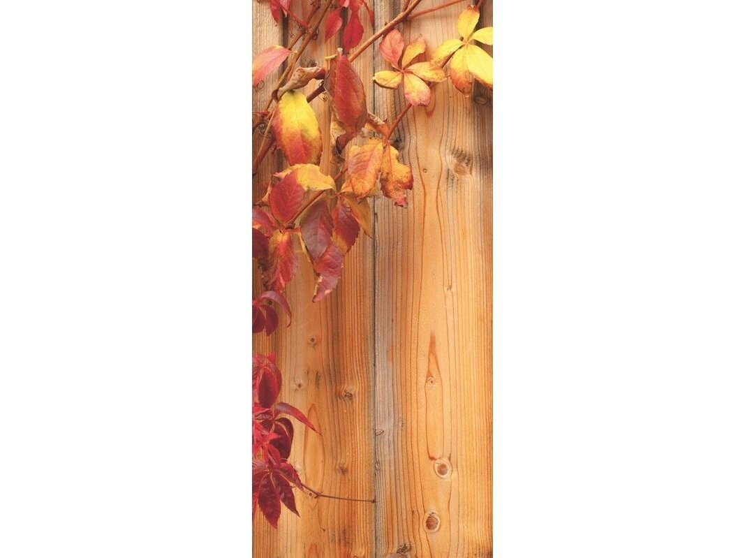 FOR WALL fototapetai 0189VET FOR WALL fototapetai 0189VET