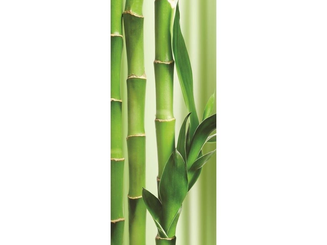 FOR WALL fototapetai 02-180VET FOR WALL fototapetai 02-180VET