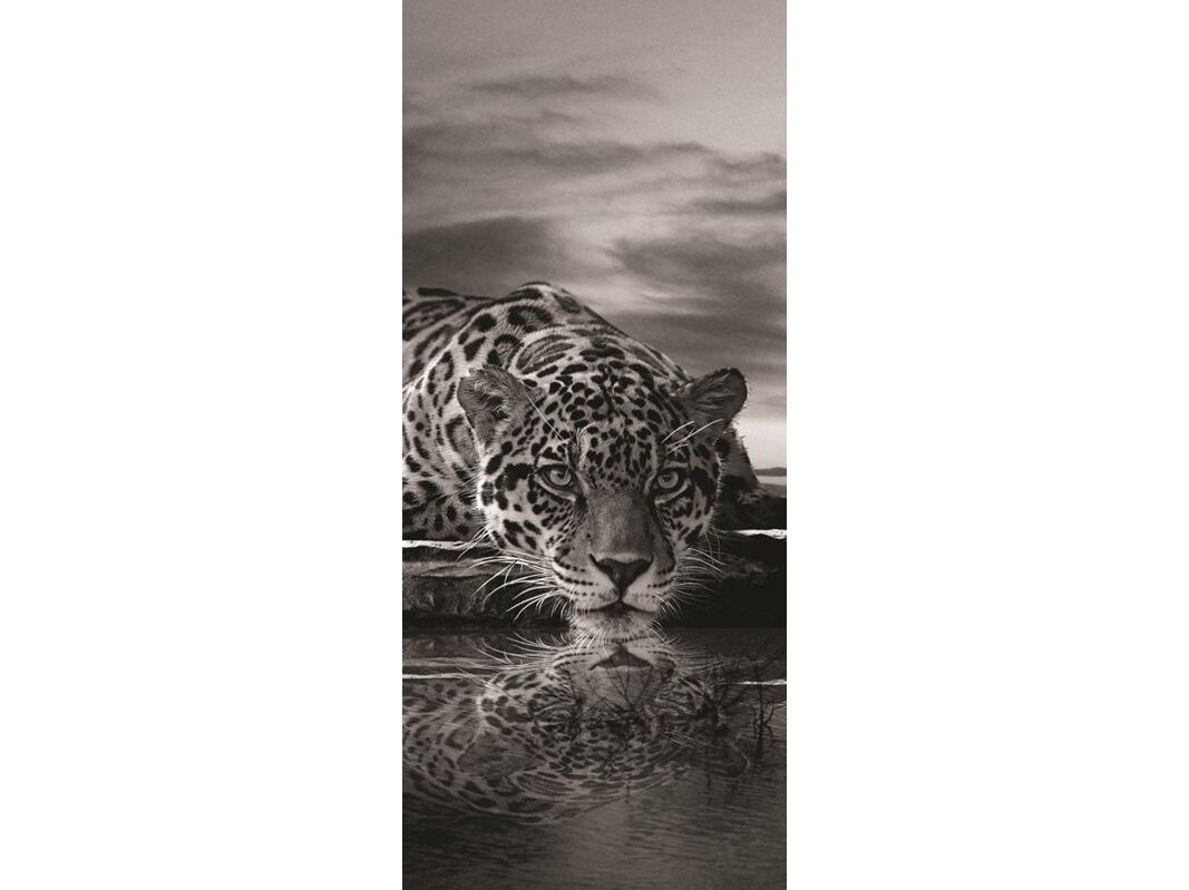 FOR WALL fototapetai 0218VET FOR WALL fototapetai 0218VET