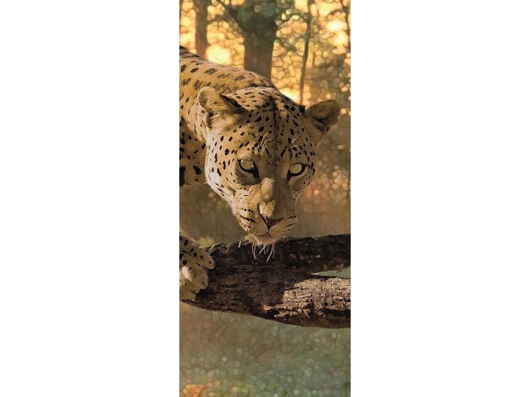 FOR WALL fototapetai 0242VET FOR WALL fototapetai 0242VET