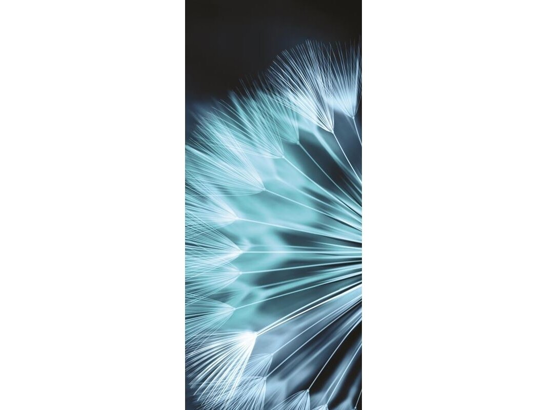 FOR WALL fototapetai 0256VET