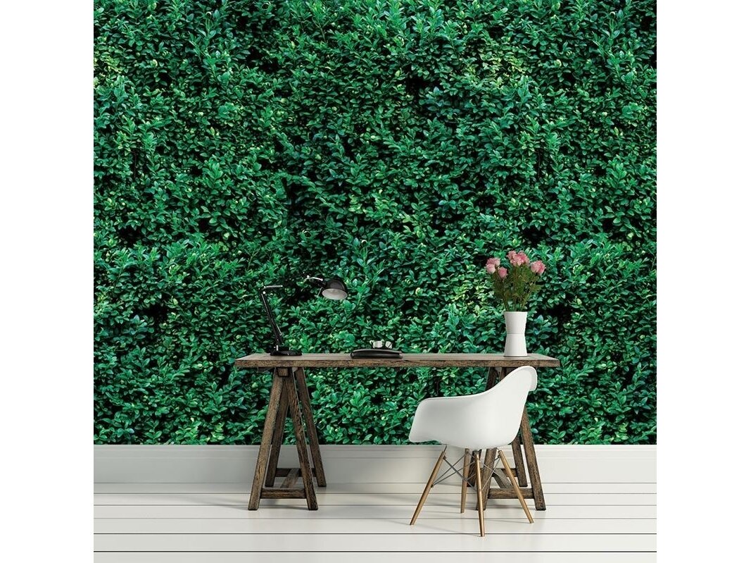 FOR WALL fototapetai 2623VE XXXL 1