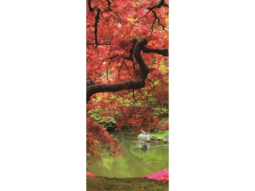 FOR WALL fototapetai 0270VET