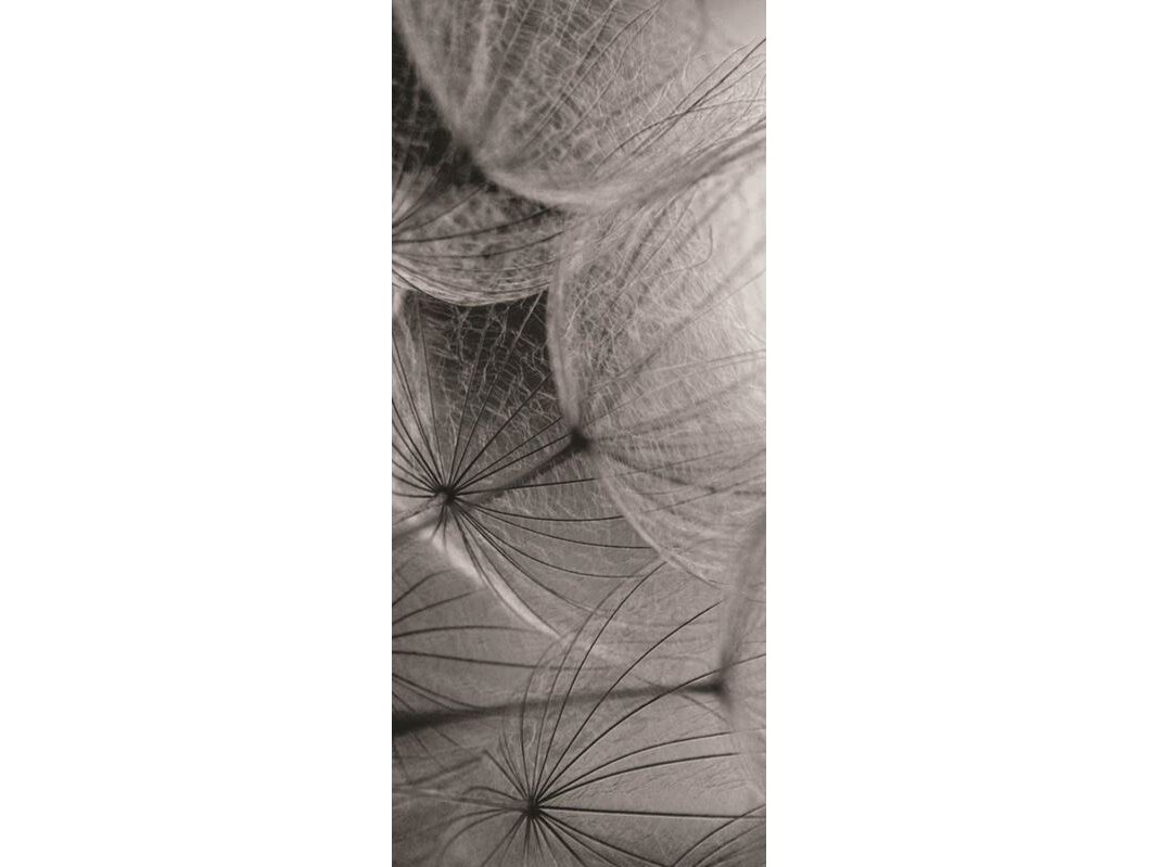 FOR WALL fototapetai 0281VET FOR WALL fototapetai 0281VET