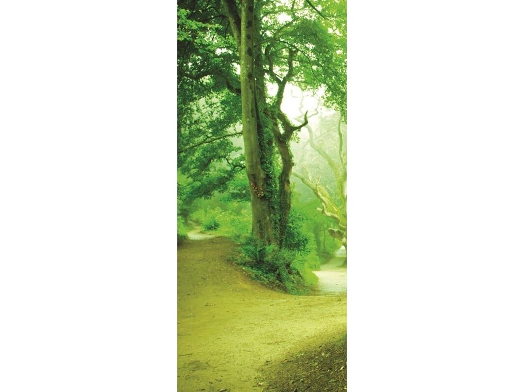 FOR WALL fototapetai 0290VET