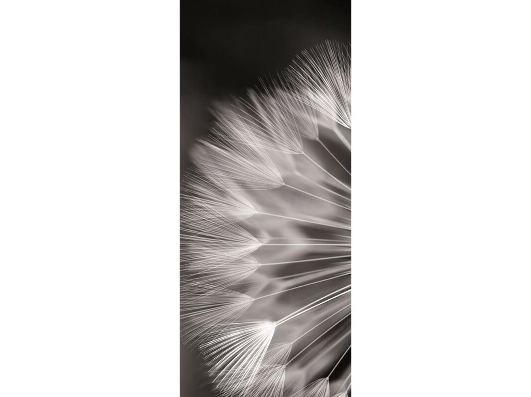 FOR WALL fototapetai 0292VET