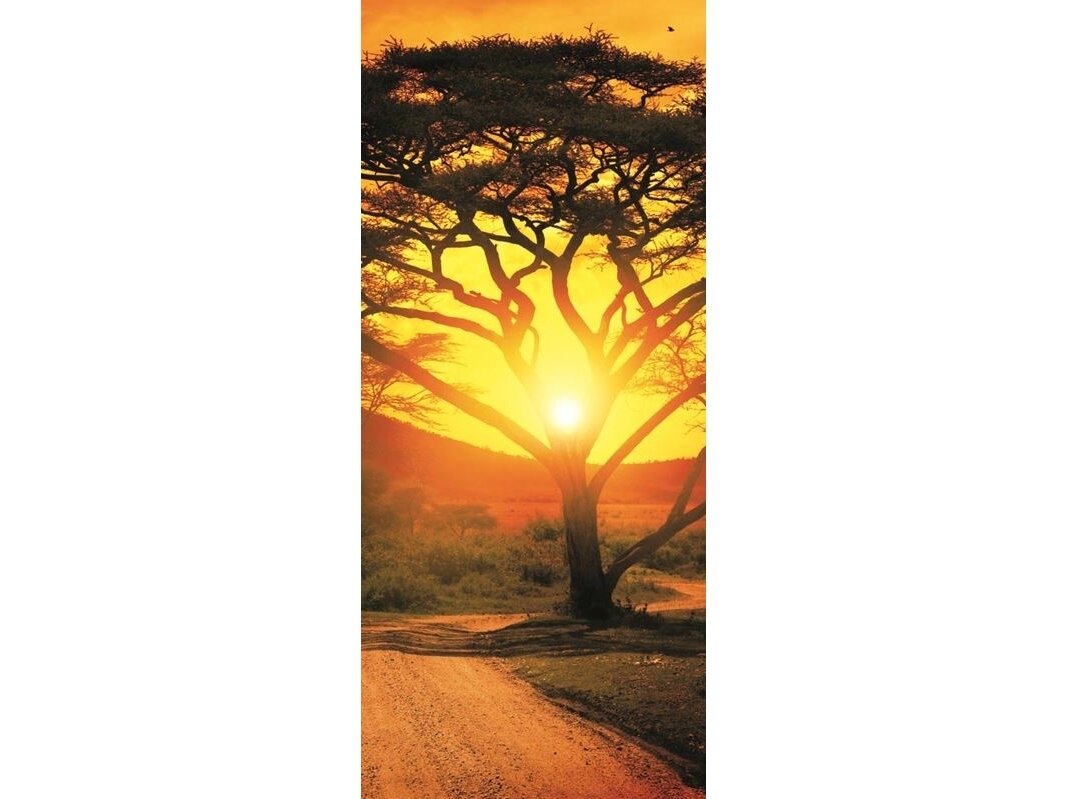 FOR WALL fototapetai 0400VET