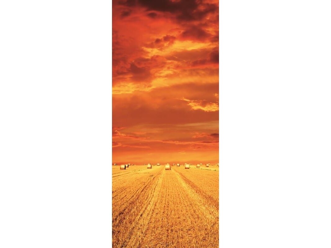 FOR WALL fototapetai 0414VET