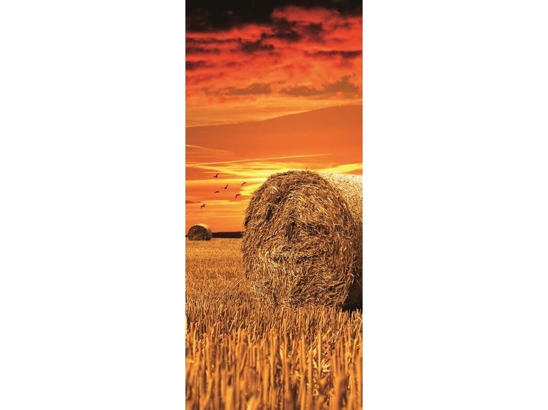 FOR WALL fototapetai 0415VET