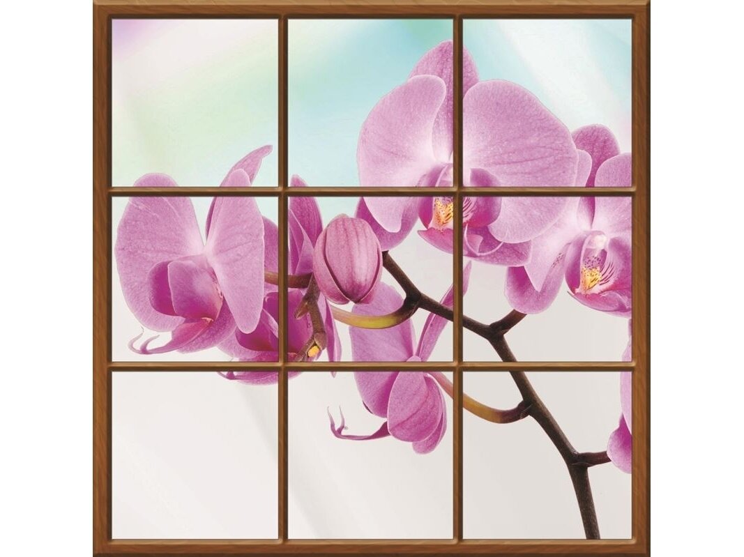 FOR WALL fototapetai 0929VECM FOR WALL fototapetai 0929VECM