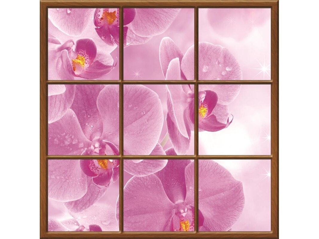 FOR WALL fototapetai 0932VECL