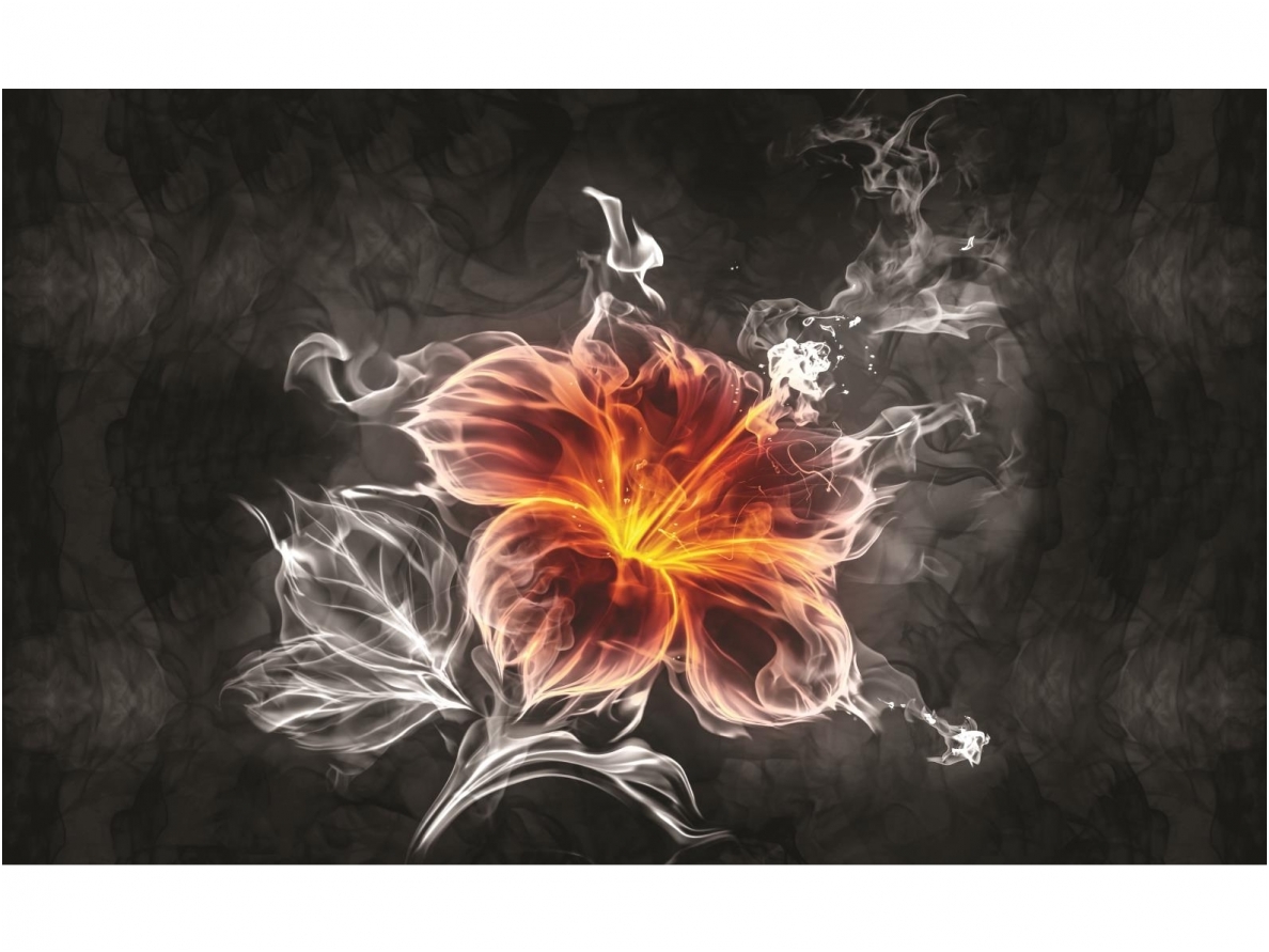 FOR WALL fototapetai 1107VE XXXL
