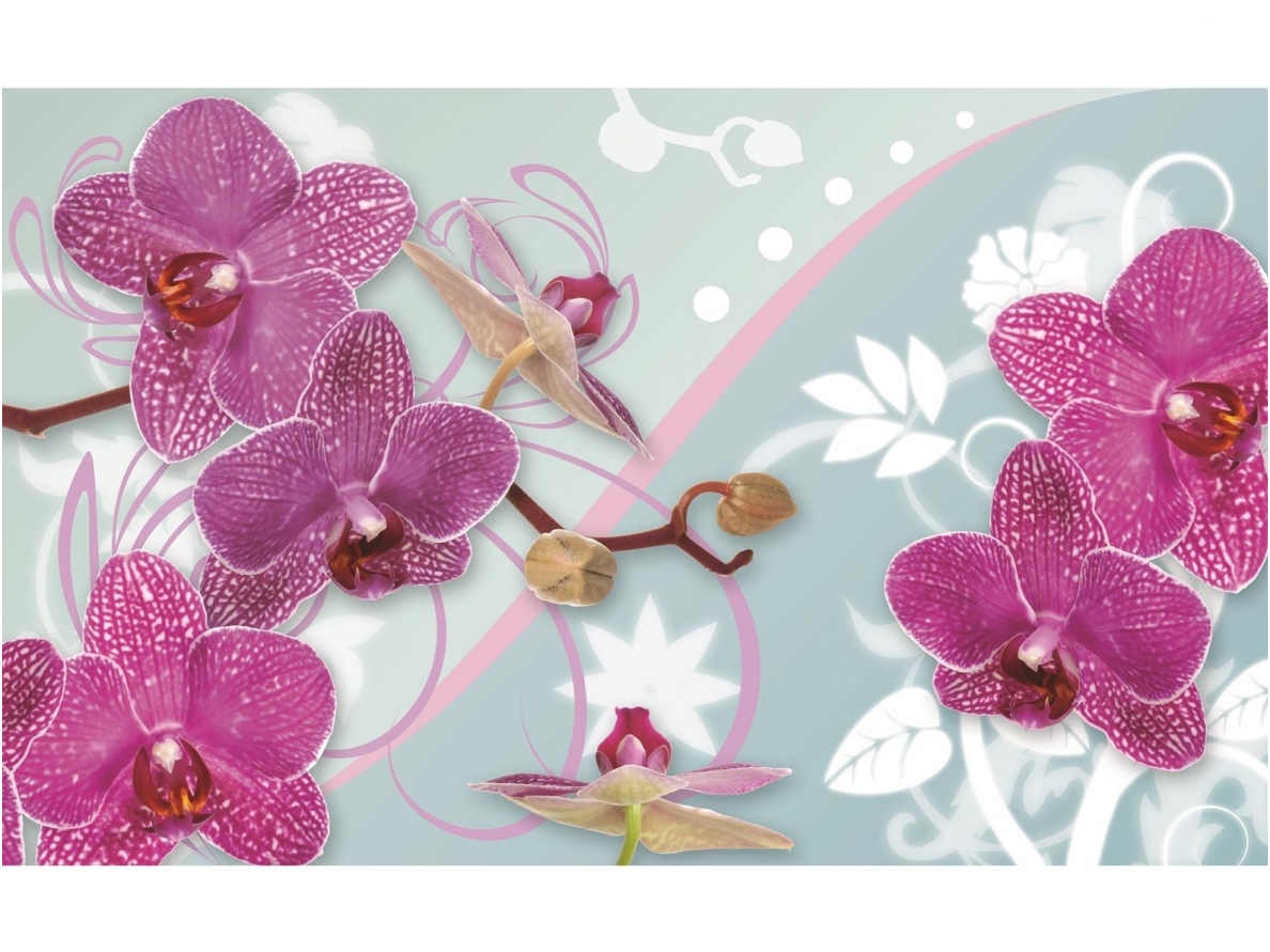 FOR WALL fototapetai 1208VE P8