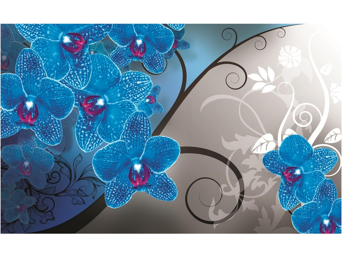 FOR WALL fototapetai 1281VE M