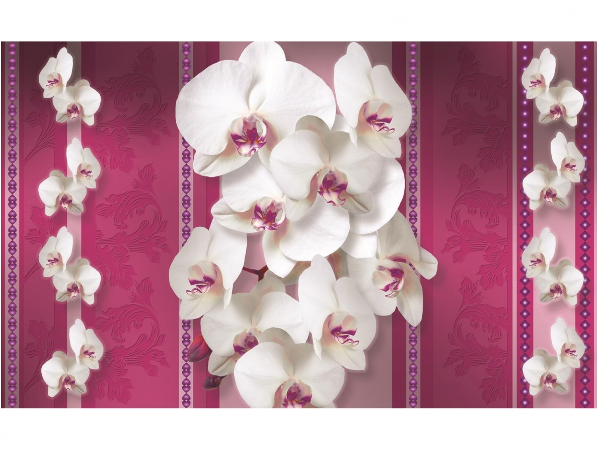 FOR WALL fototapetai 1291VE XL