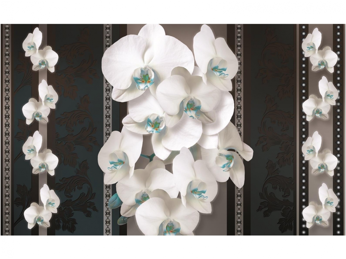 FOR WALL fototapetai 1293VE P4