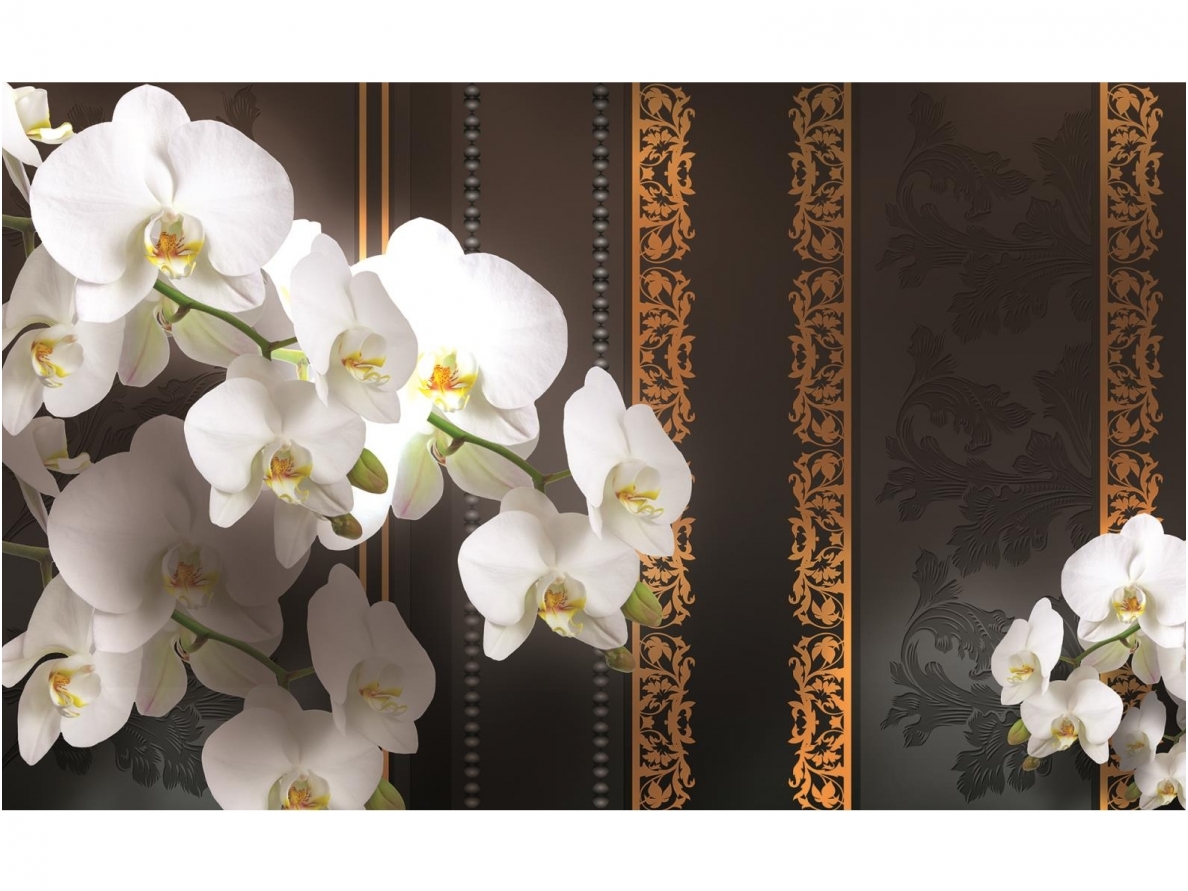 FOR WALL fototapetai 1295VE P4