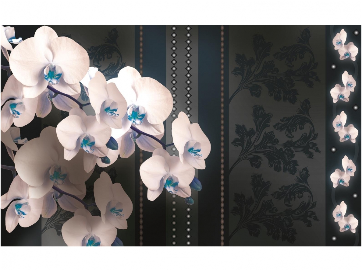 FOR WALL fototapetai 1301VE XXL FOR WALL fototapetai 1301VE XXL