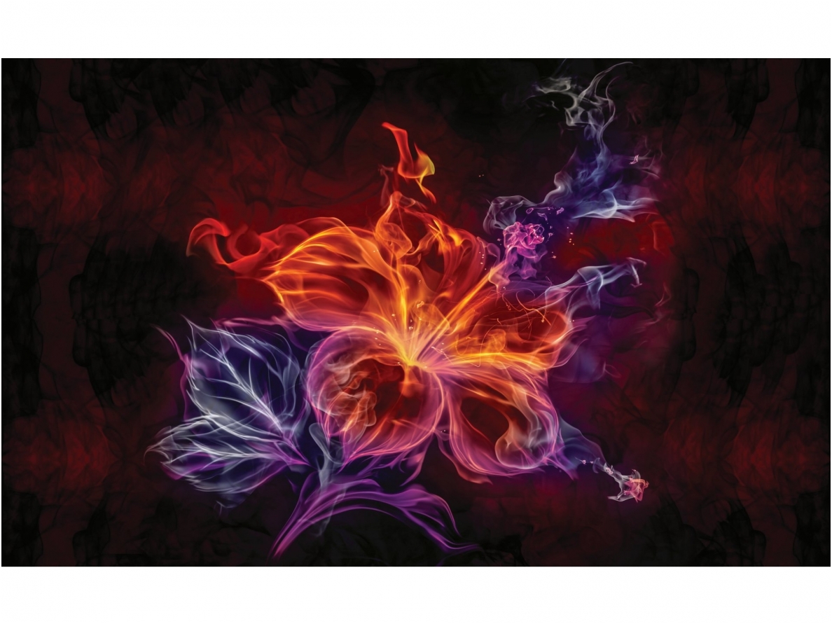 FOR WALL fototapetai 1308VE M
