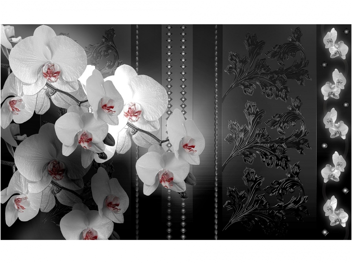 FOR WALL fototapetai 1328VE XL