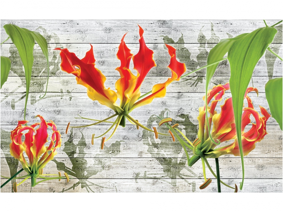 FOR WALL fototapetai 1373VE XL FOR WALL fototapetai 1373VE XL