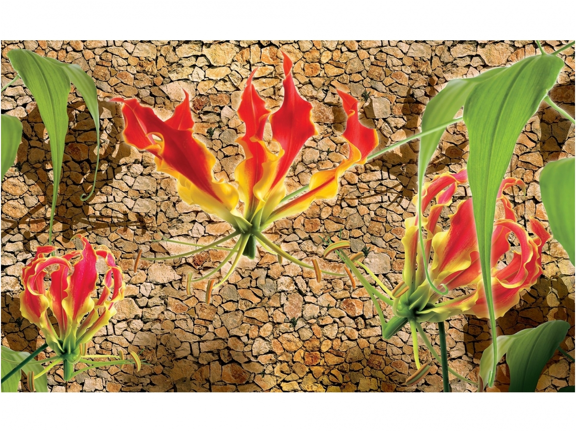 FOR WALL fototapetai 1388VE M FOR WALL fototapetai 1388VE M