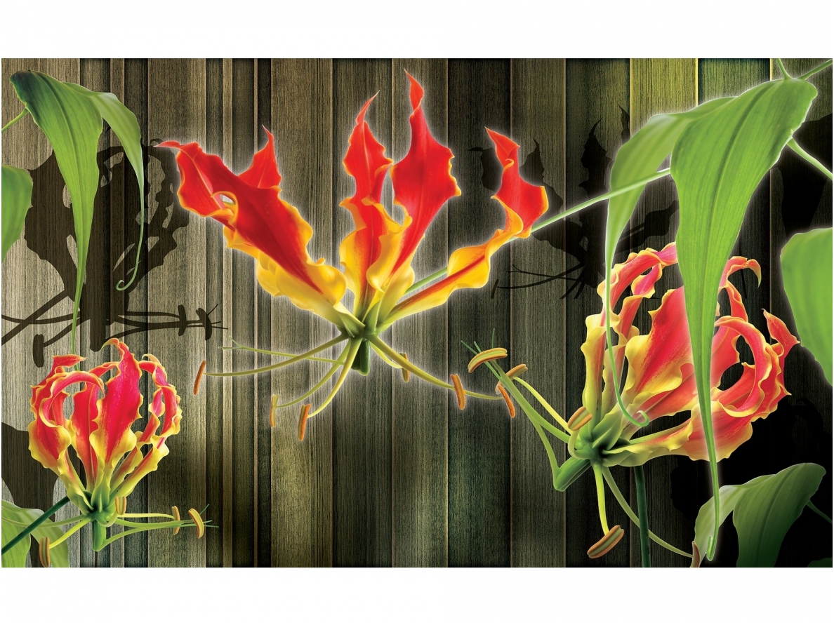 FOR WALL fototapetai 1390VE M