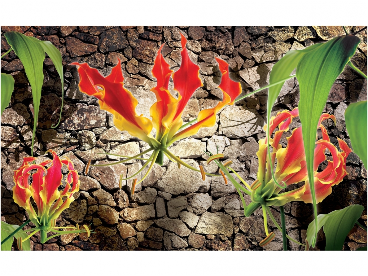 FOR WALL fototapetai 1392VE XXXL