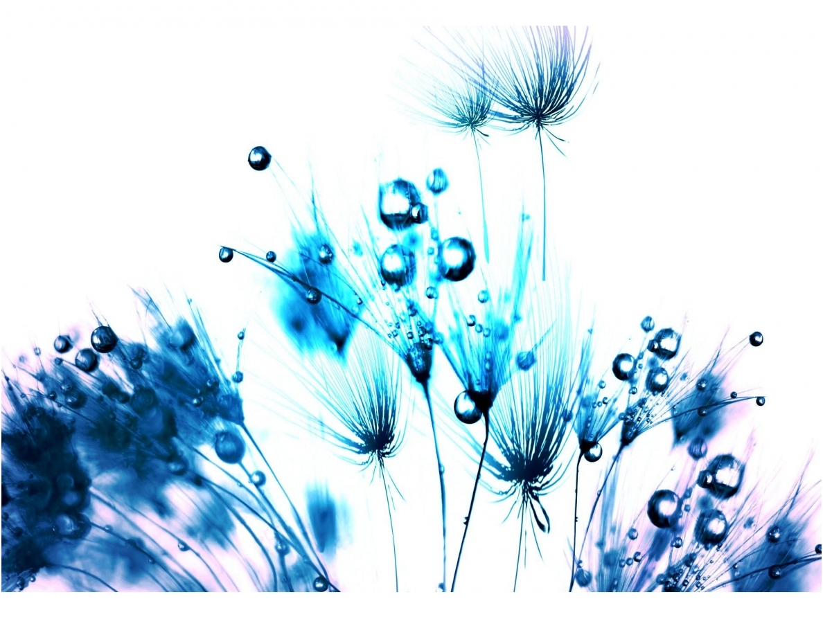 FOR WALL fototapetai 0258VE M FOR WALL fototapetai 0258VE M