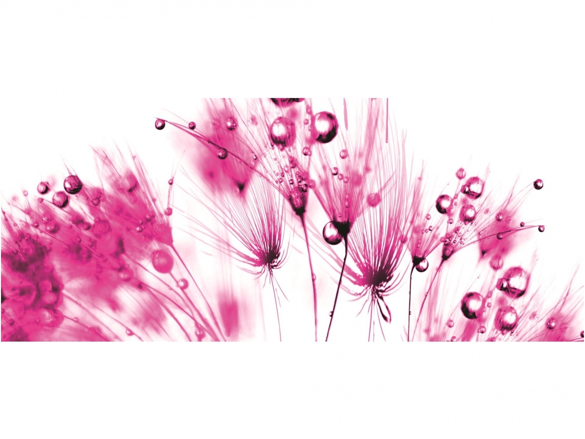 FOR WALL fototapetai 0259VEP FOR WALL fototapetai 0259VEP
