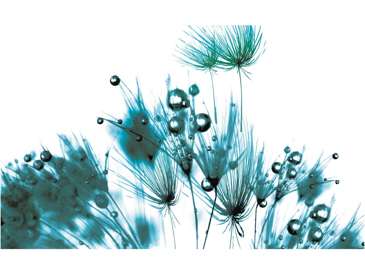 FOR WALL fototapetai 0260VE XXL