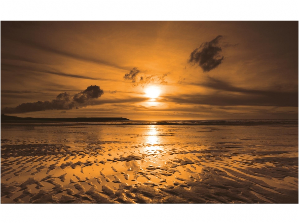 FOR WALL fototapetai 0261VE XXL