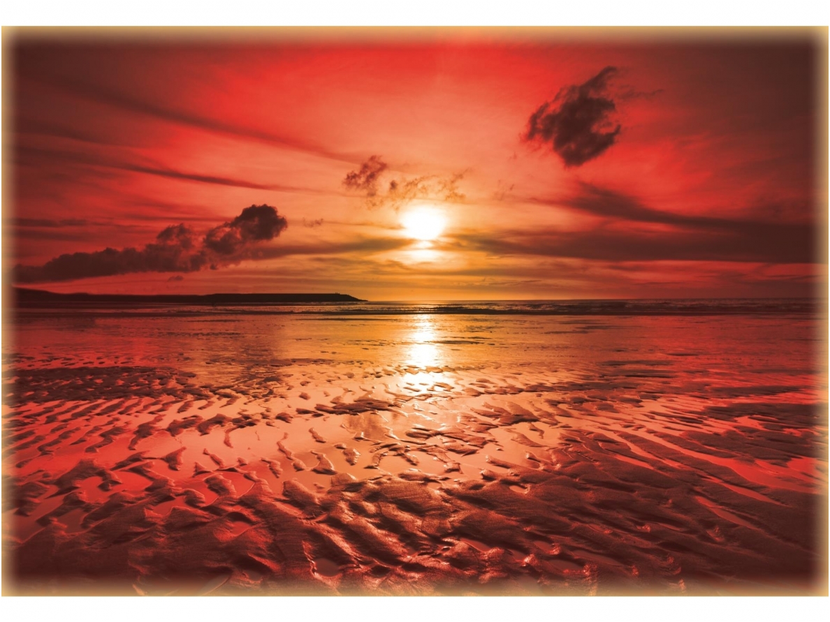 FOR WALL fototapetai 0262VE P8 FOR WALL fototapetai 0262VE P8