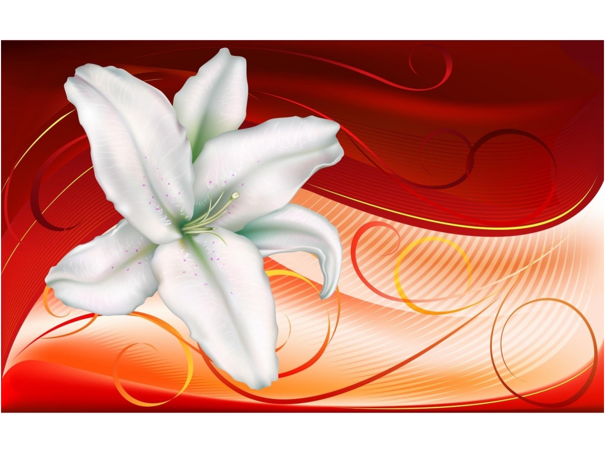 FOR WALL fototapetai 0301VE P4