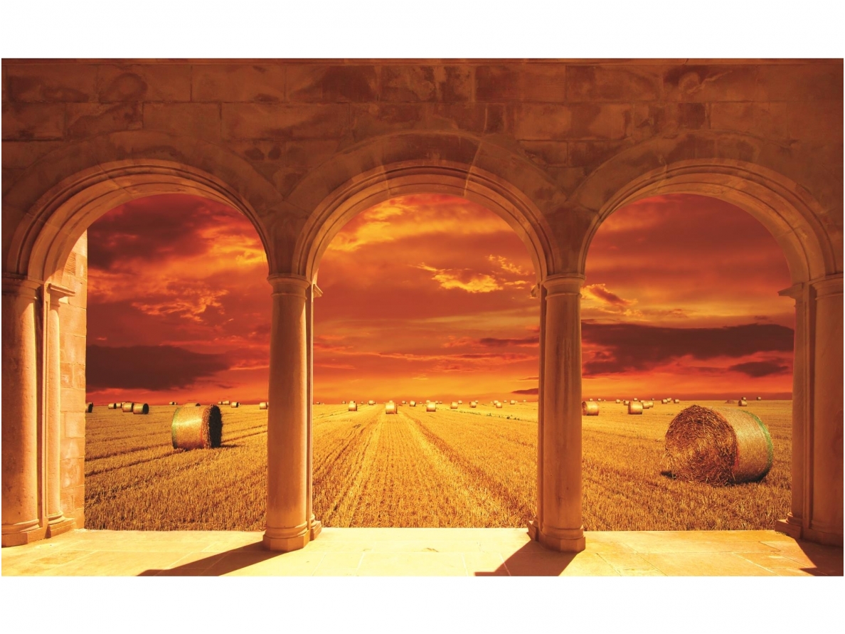 FOR WALL fototapetai 0437VE P8 FOR WALL fototapetai 0437VE P8